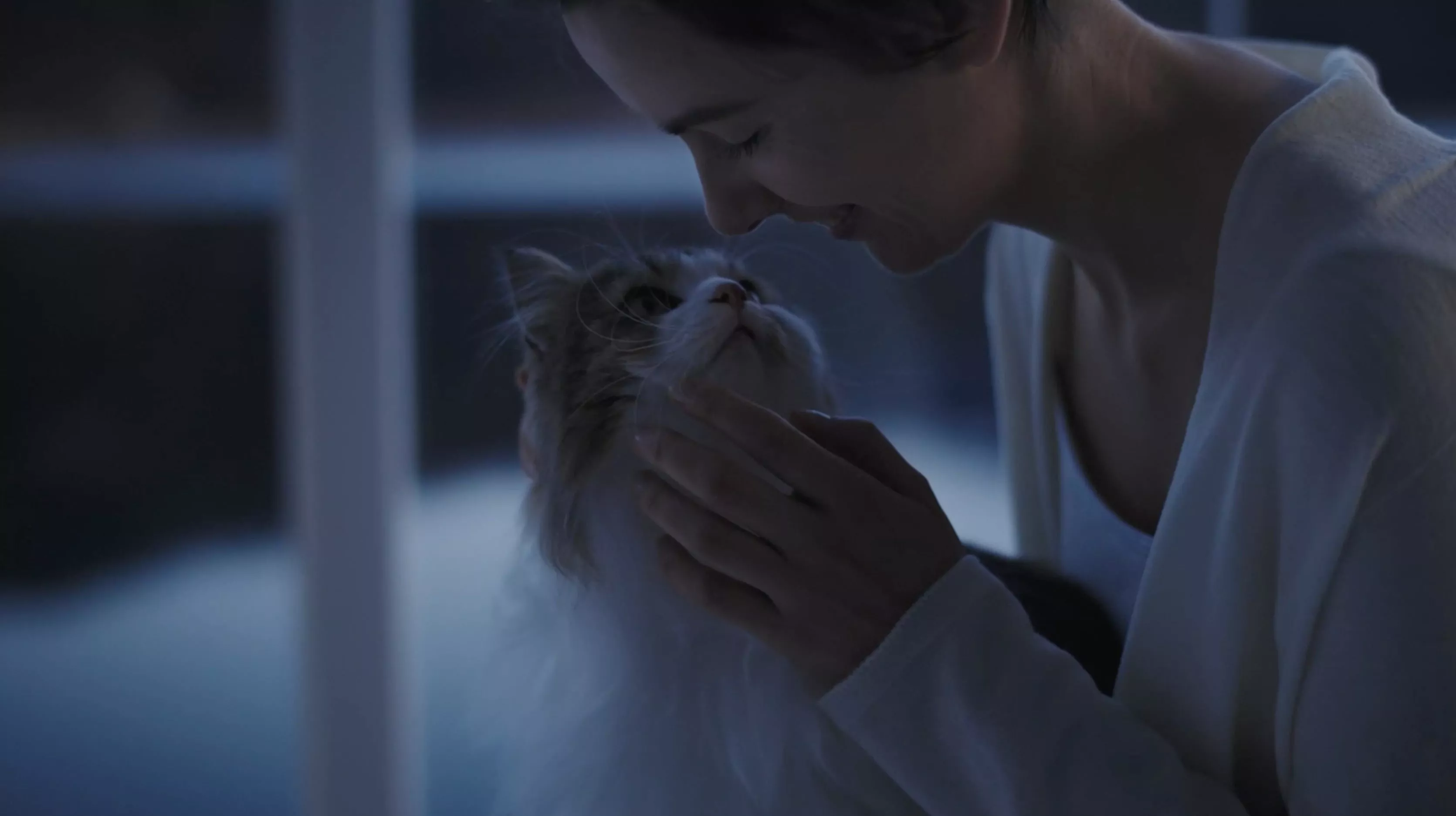 A woman smiles gently as she presses her face to a fluffy cat, sharing a quiet moment of affection together.