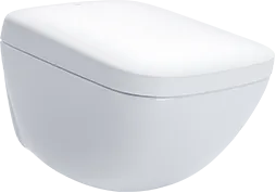 NEOREST WX
