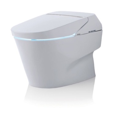 Tankless Toilet